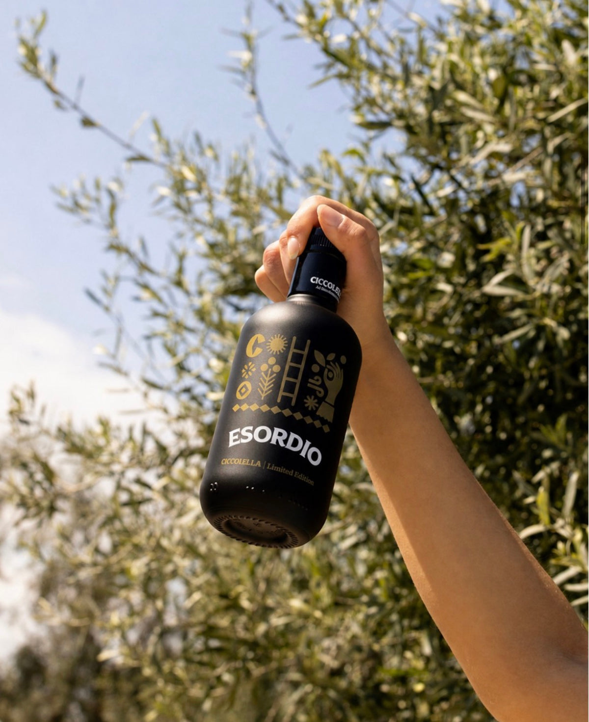 Ypač tyras alyvuogių aliejus ESORDIO 2026/2027 (500ml) IŠANKSTINIS UŽSAKYMAS